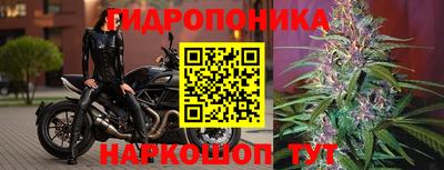 крисы Бугуруслан