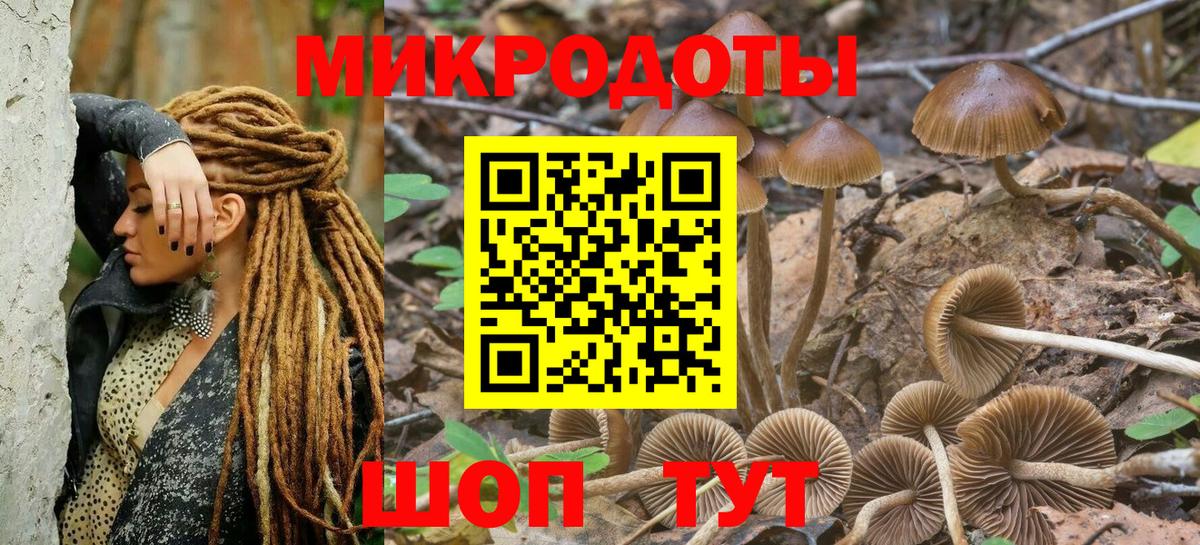 Галлюциногенные грибы мицелий  Вход с VPN  Нижнекамск 